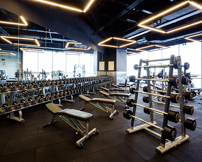 MacFit 212