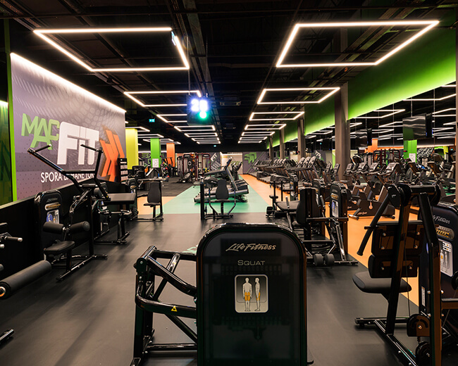MacFit Cepa